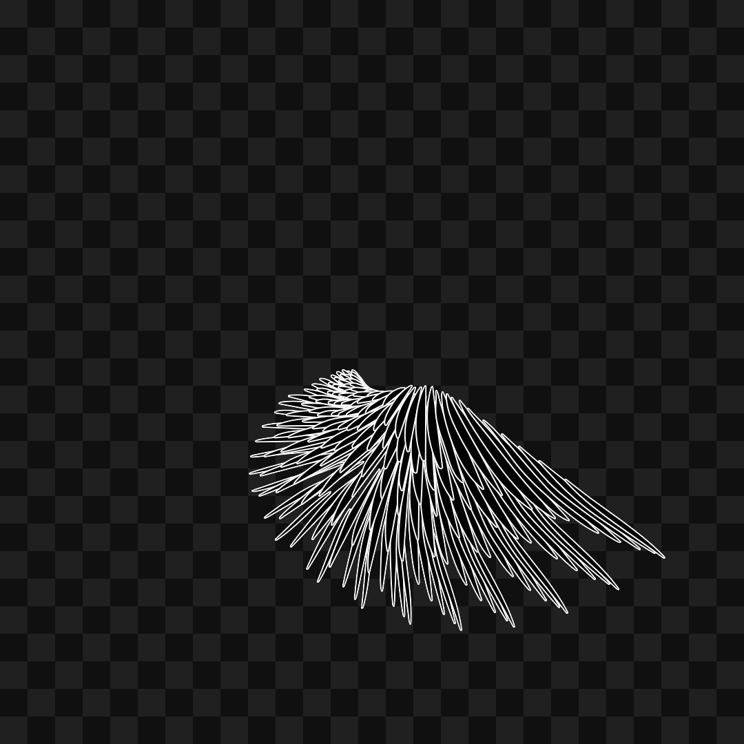 Static flap wing asset pack / 16 loops