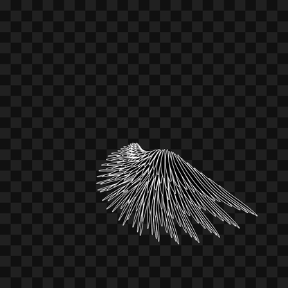 Static flap wing asset pack / 16 loops