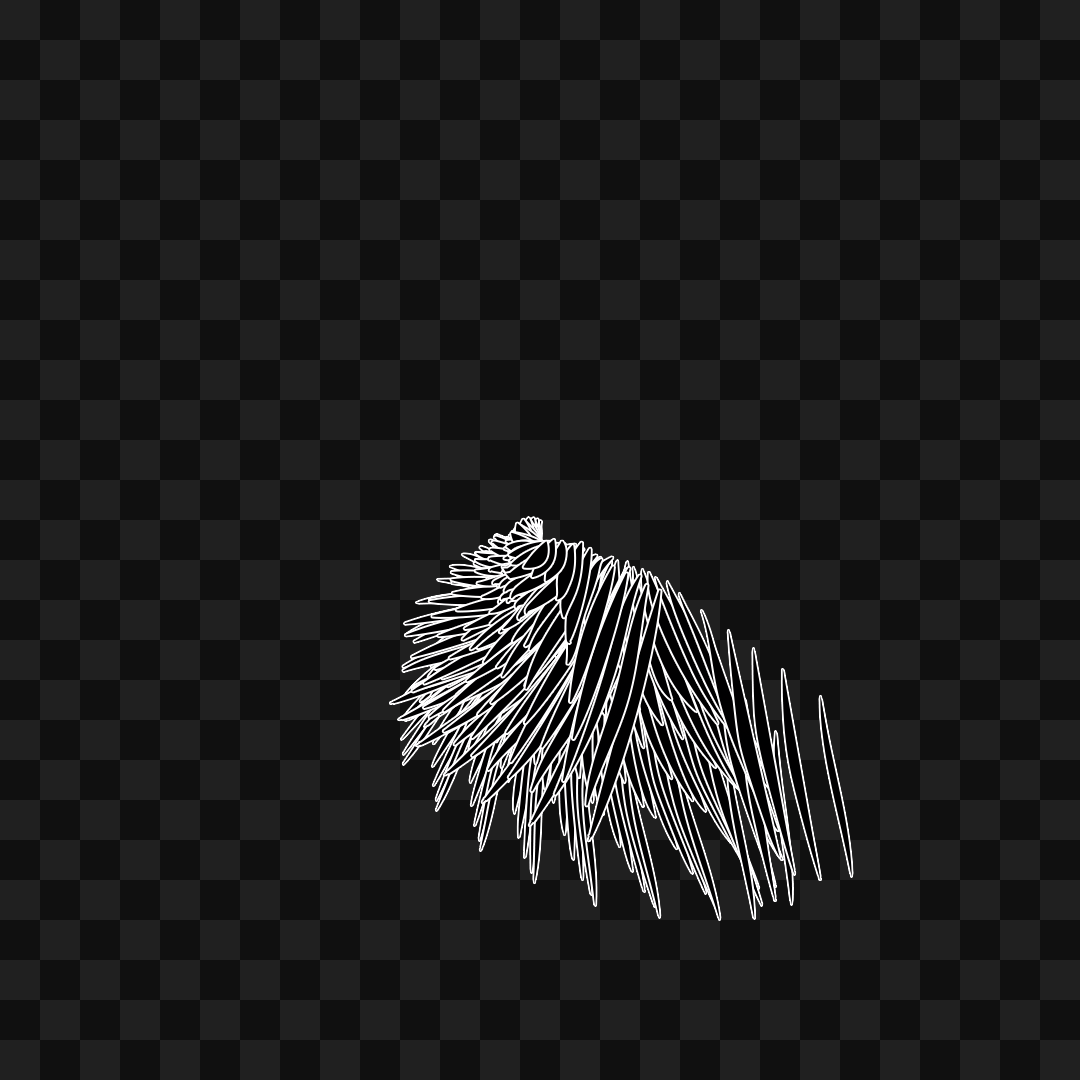 Static flap wing asset pack / 16 loops