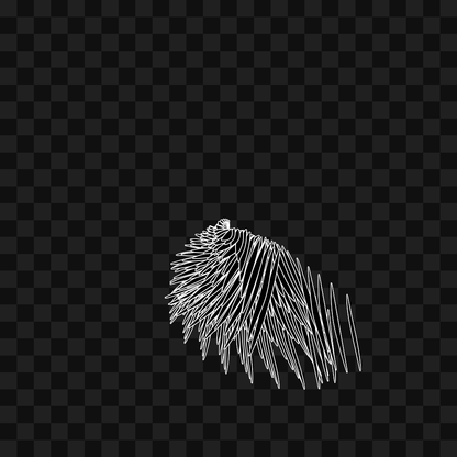 Static flap wing asset pack / 16 loops