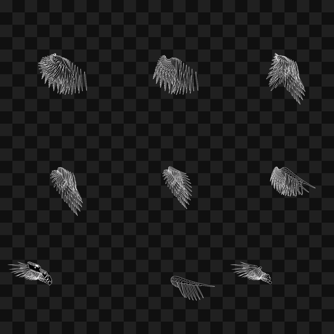 Static flap wing asset pack / 16 loops