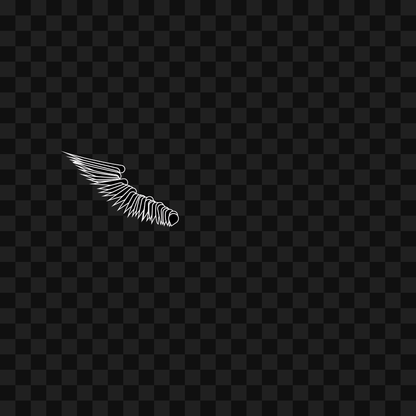 Static flap wing asset pack / 16 loops