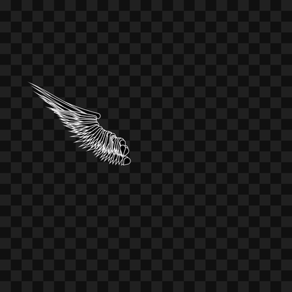 Static flap wing asset pack / 16 loops