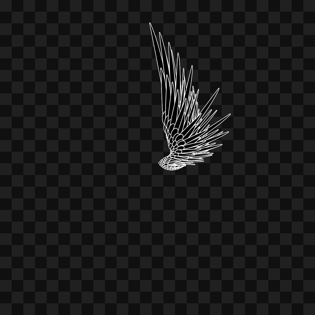 Swift flap wing asset pack / 9 loops
