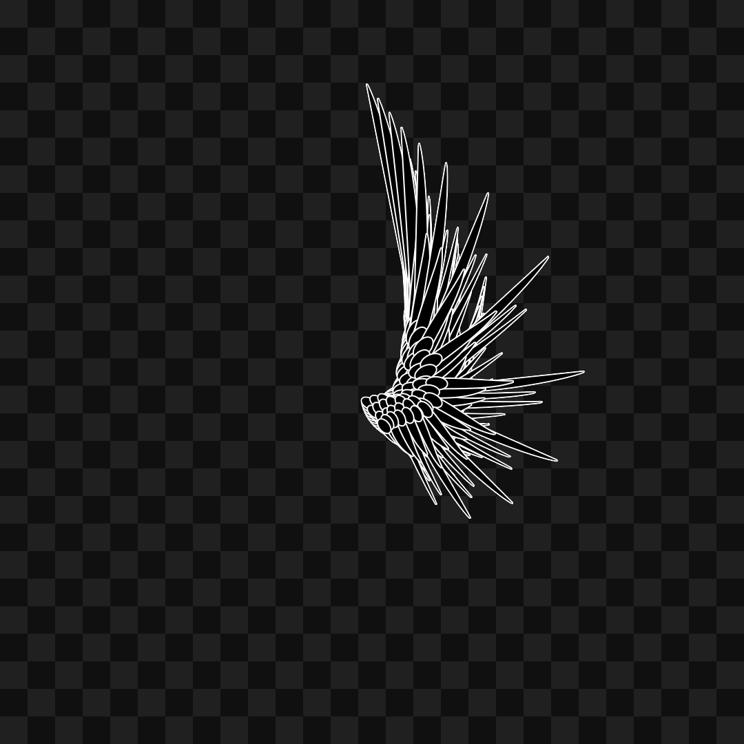 Swift flap wing asset pack / 9 loops