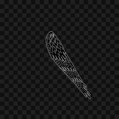 Swift flap wing asset pack / 9 loops