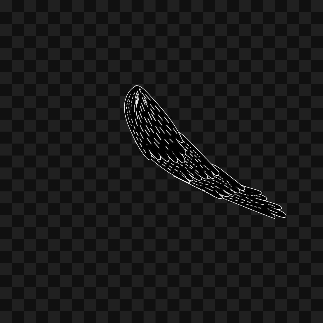 Swift flap wing asset pack / 9 loops