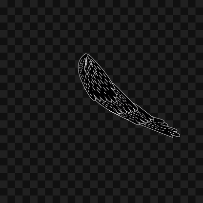 Swift flap wing asset pack / 9 loops