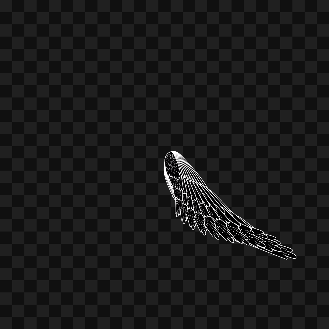 Swift flap wing asset pack / 9 loops