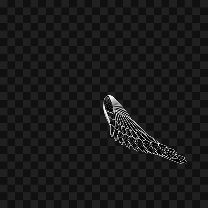 Swift flap wing asset pack / 9 loops