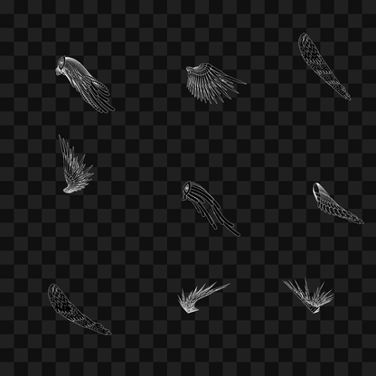 Swift flap wing asset pack / 9 loops