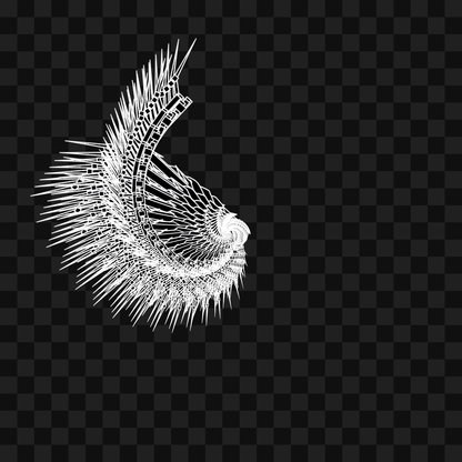 Twist flap wing asset pack / 8 loops