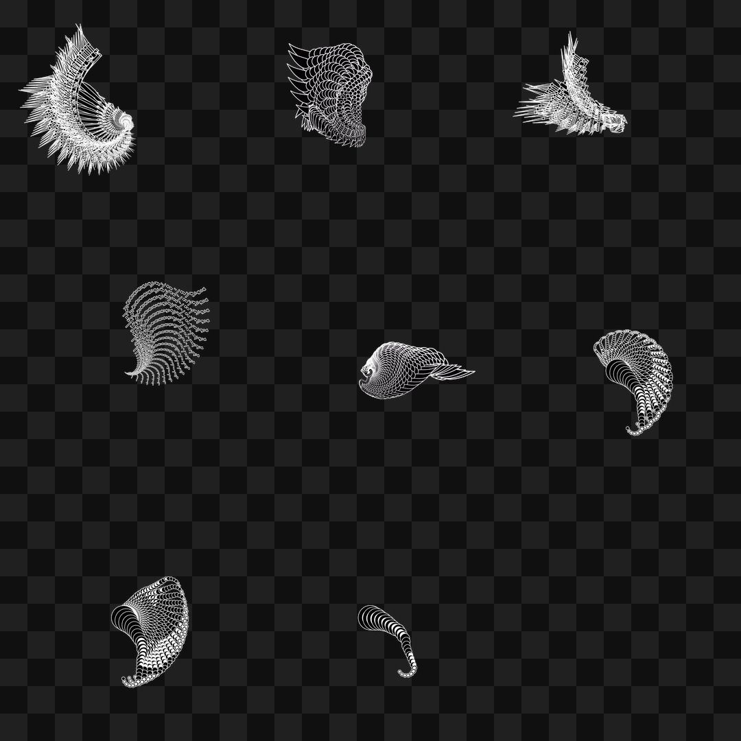 Twist flap wing asset pack / 8 loops
