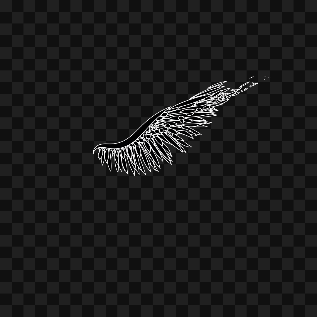 Frag wing asset bundle / 116 loops