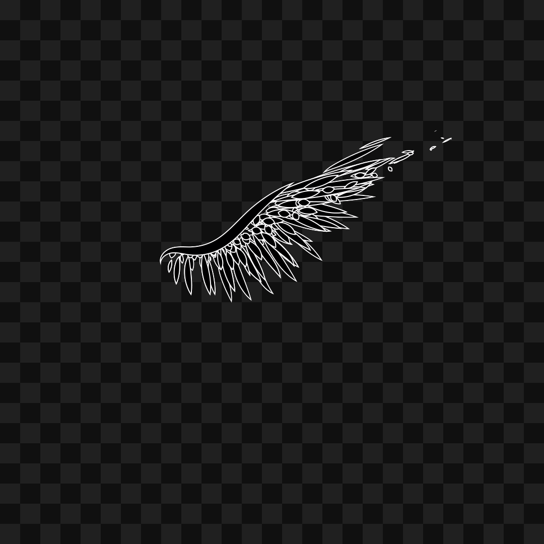 Feather frag wing asset pack / 21 loops