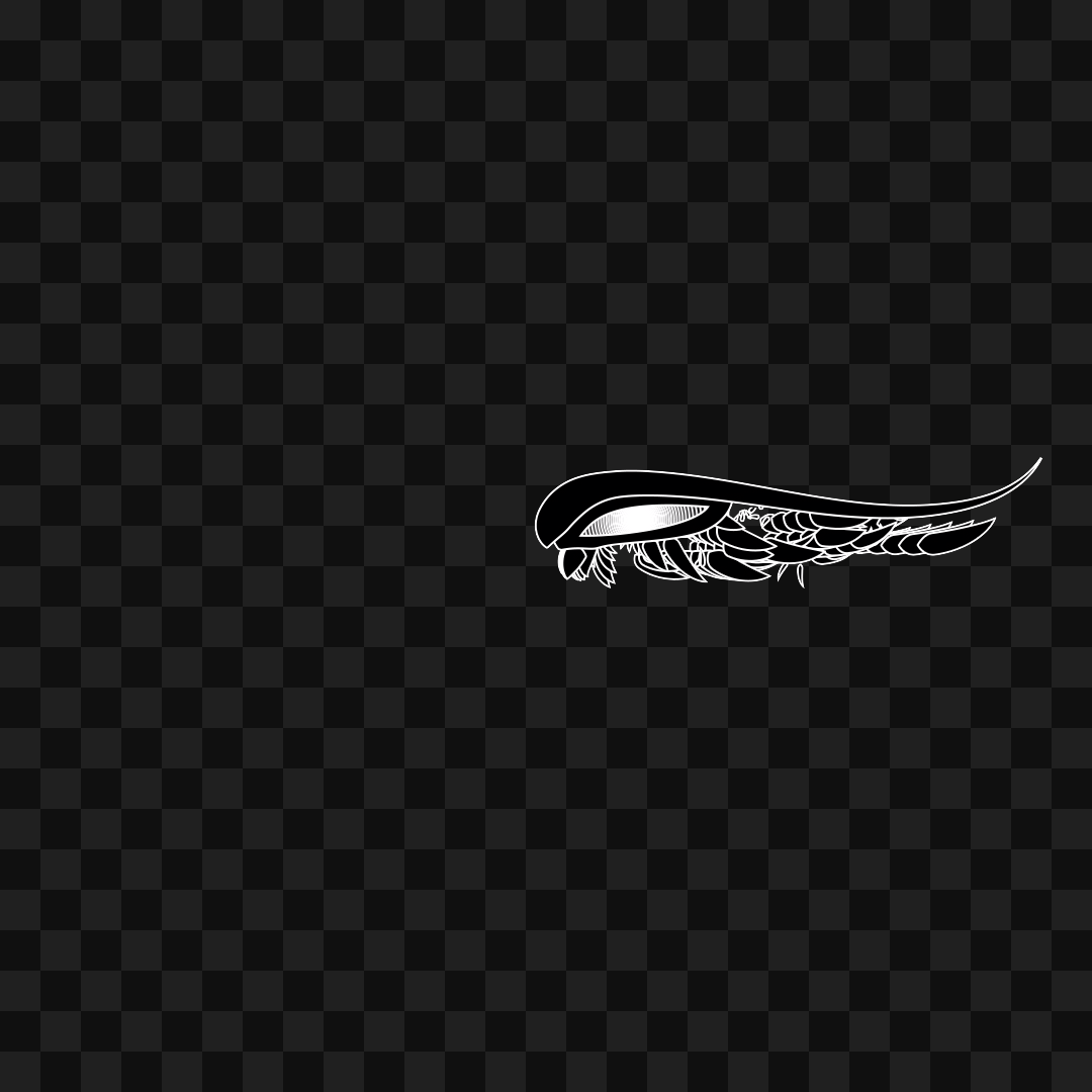 Frag wing asset bundle / 116 loops