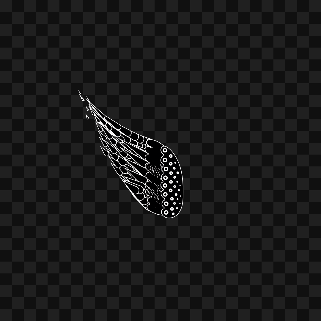 Feather frag wing asset pack / 21 loops