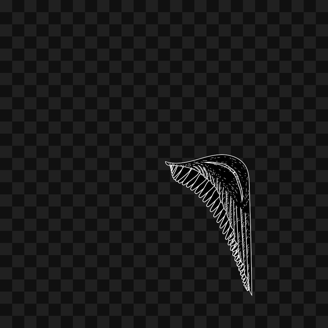 Frag wing asset bundle / 116 loops