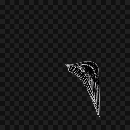 Frag wing asset bundle / 116 loops