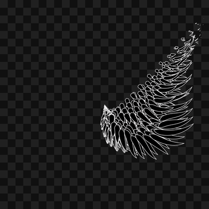 Frag wing asset bundle / 116 loops