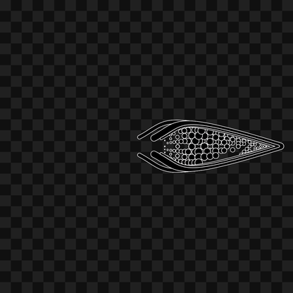 Frag wing asset bundle / 116 loops