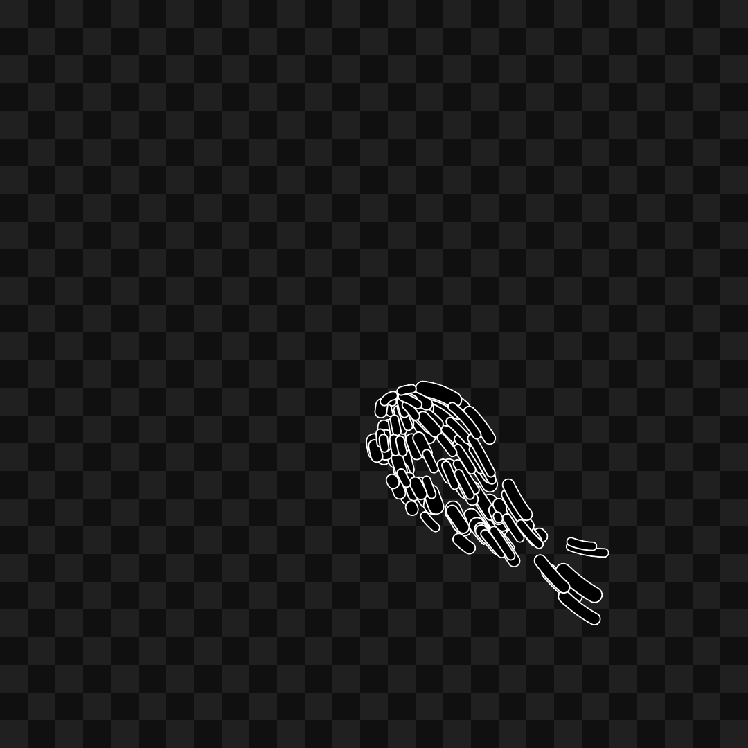 Particle frag wing asset pack / 30 loops