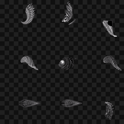 Particle frag wing asset pack / 30 loops