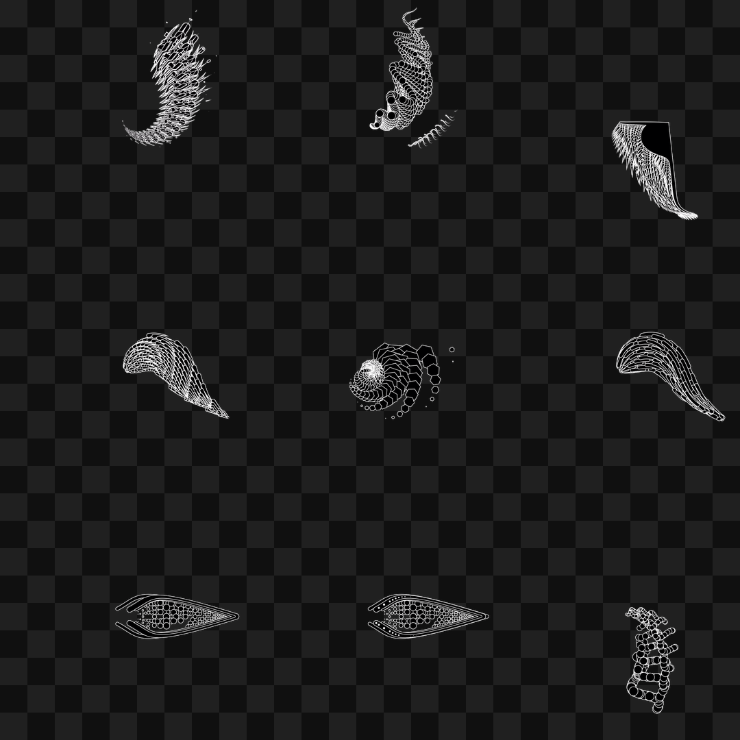 Particle frag wing asset pack / 30 loops