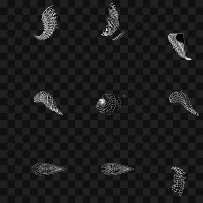 Particle frag wing asset pack / 30 loops