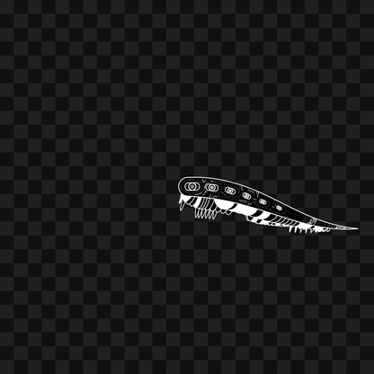 Slim frag wing asset pack / 29 loops