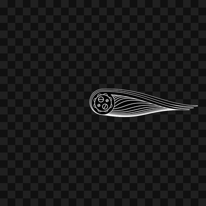 Frag wing asset bundle / 116 loops