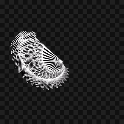 Warp wing asset pack / 31 loops