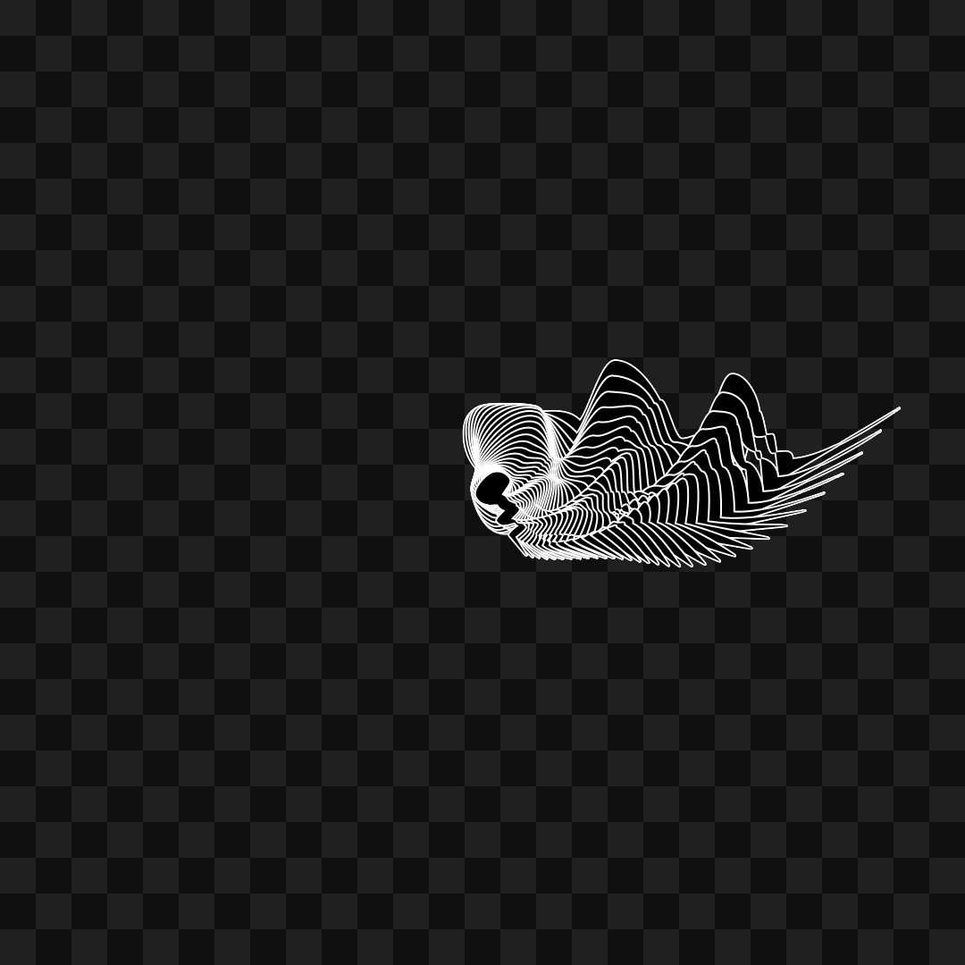 Warp wing asset pack / 31 loops