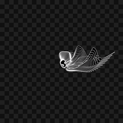 Warp wing asset pack / 31 loops