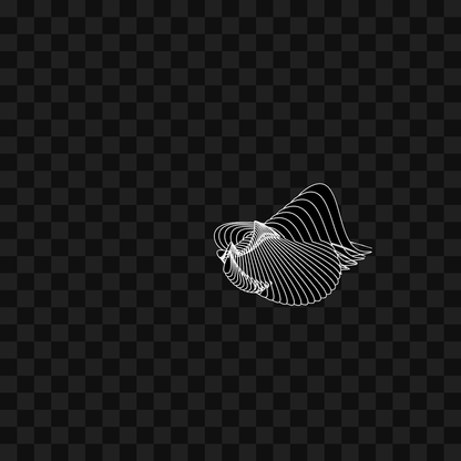 Warp wing asset pack / 31 loops