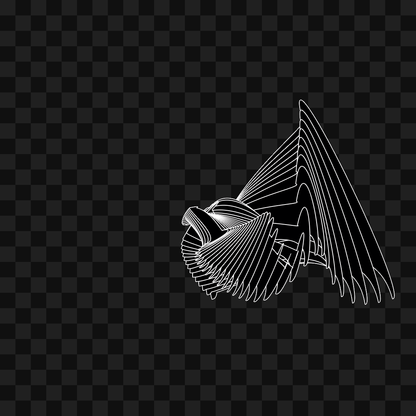 Warp wing asset pack / 31 loops