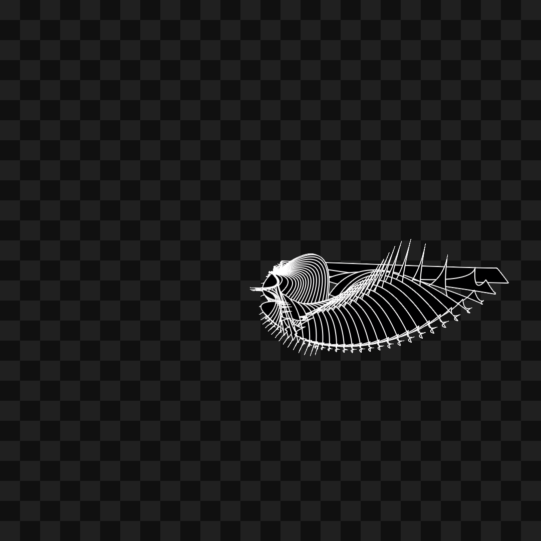 Warp wing asset pack / 31 loops