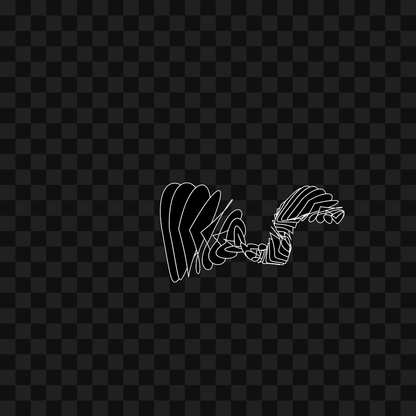 Warp wing asset pack / 31 loops