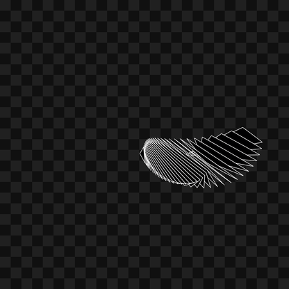 Warp wing asset pack / 31 loops
