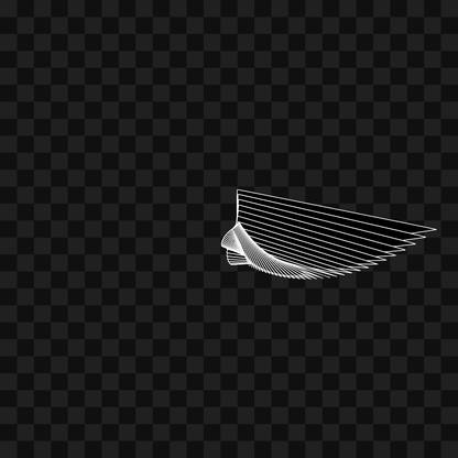Warp wing asset pack / 31 loops