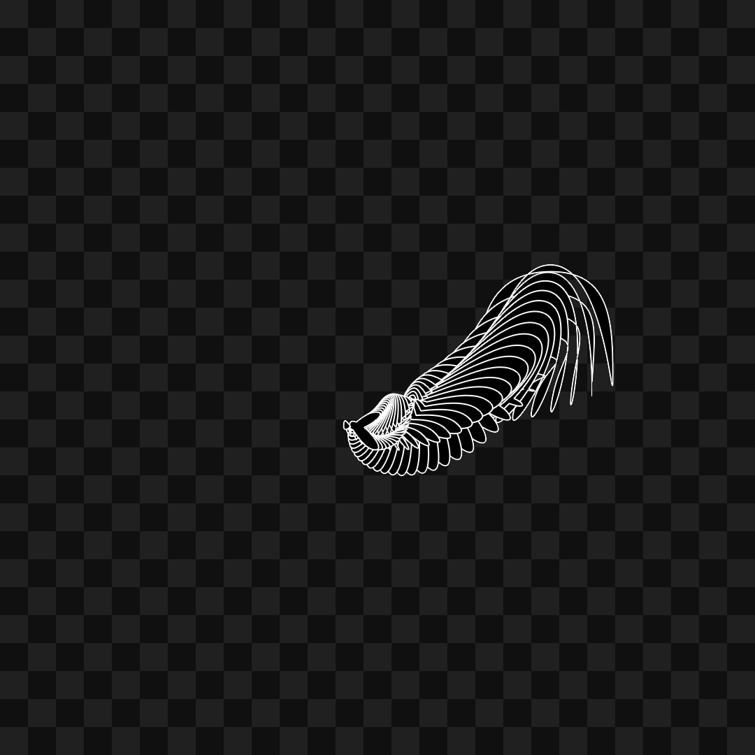 Warp wing asset pack / 31 loops