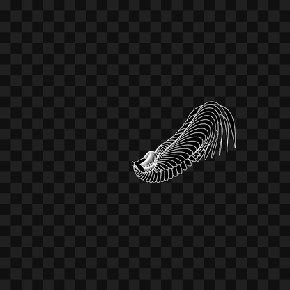 Warp wing asset pack / 31 loops