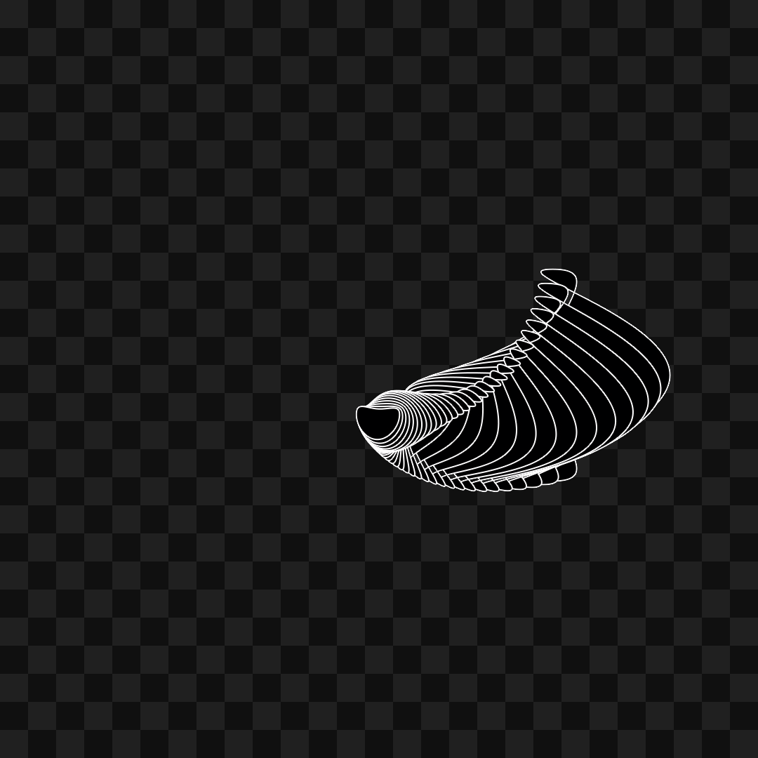 Warp wing asset pack / 31 loops