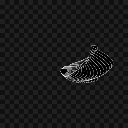 Warp wing asset pack / 31 loops