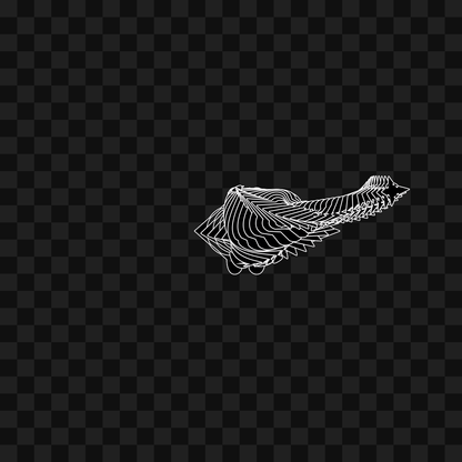 Warp wing asset pack / 31 loops