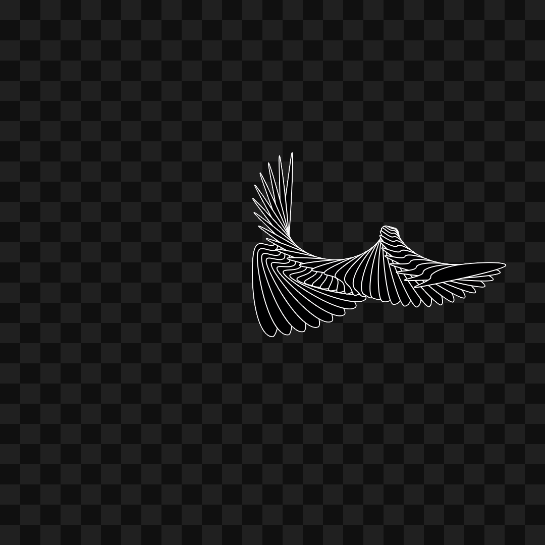 Warp wing asset pack / 31 loops