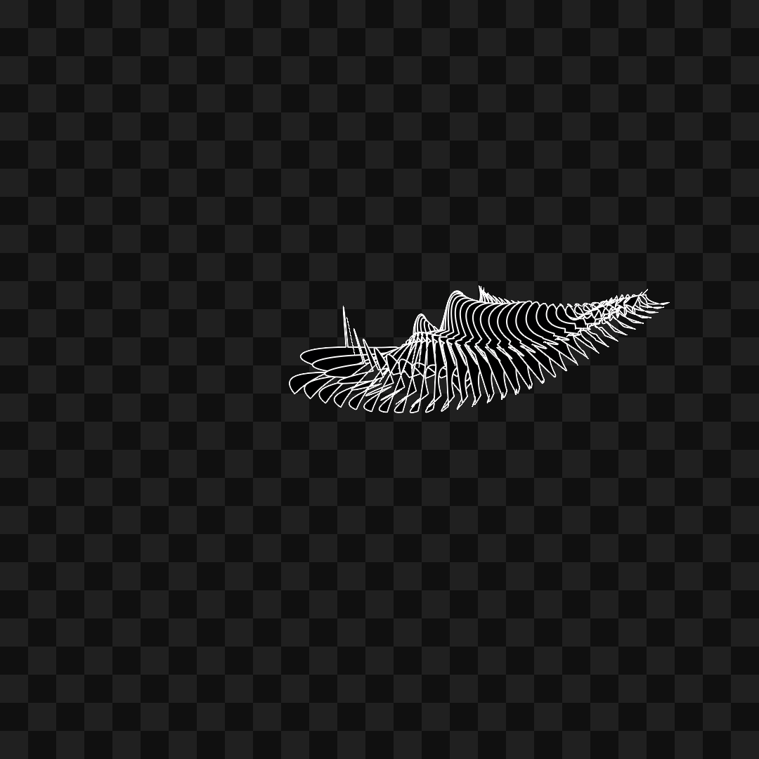 Warp wing asset pack / 31 loops