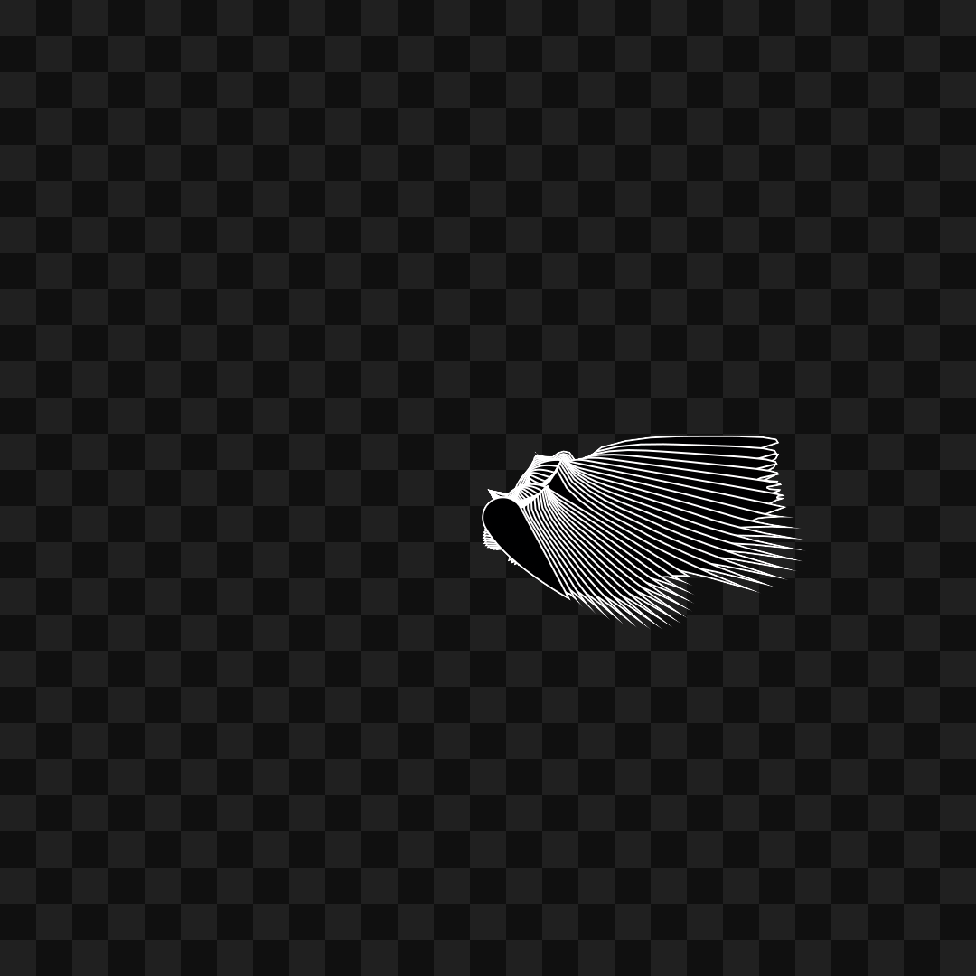 Warp wing asset pack / 31 loops