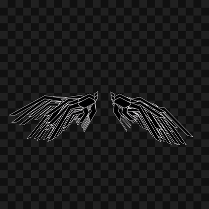 Alpha flap wingset asset pack / 12 loops