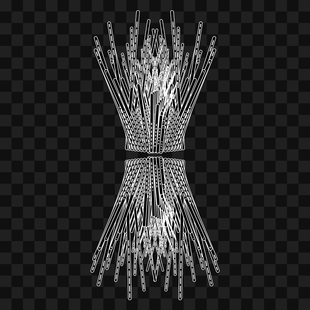 Gamma flap wingset asset pack / 10 loops